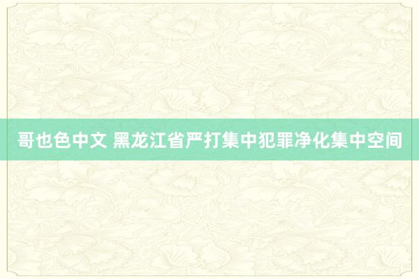哥也色中文 黑龙江省严打集中犯罪净化集中空间