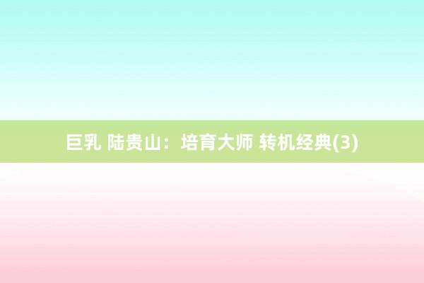 巨乳 陆贵山：培育大师 转机经典(3)