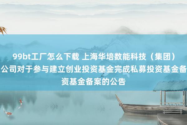 99bt工厂怎么下载 上海华培数能科技（集团）股份有限公司对于参与建立创业投资基金完成私募投资基金备案的公告