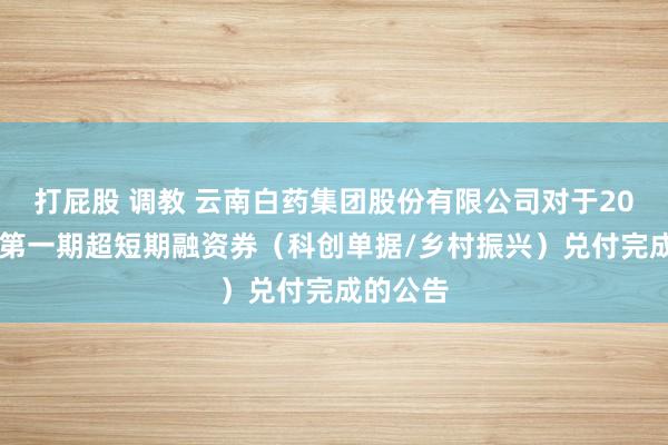 打屁股 调教 云南白药集团股份有限公司对于2024年度第一期超短期融资券（科创单据/乡村振兴）兑付完成的公告
