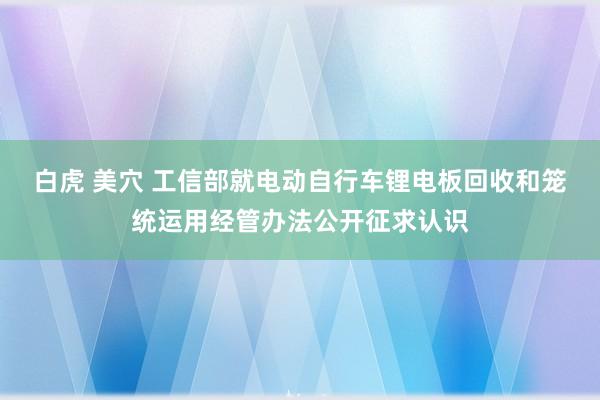 白虎 美穴 工信部就电动自行车锂电板回收和笼统运用经管办法公开征求认识
