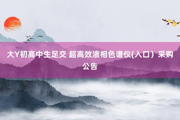 大Y初高中生足交 超高效液相色谱仪(入口）采购公告