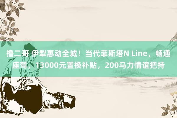 撸二哥 伊犁惠动全城！当代菲斯塔N Line，畅通座驾，13000元置换补贴，200马力情谊把持