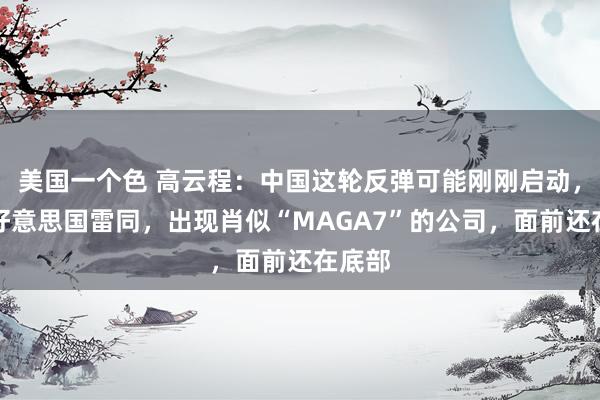美国一个色 高云程：中国这轮反弹可能刚刚启动，会像好意思国雷同，出现肖似“MAGA7”的公司，面前还在底部