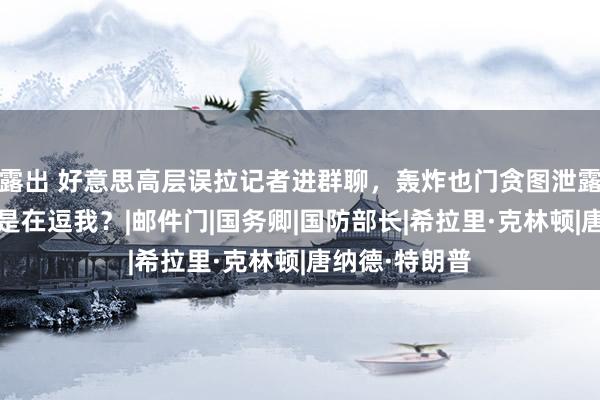 露出 好意思高层误拉记者进群聊，轰炸也门贪图泄露，希拉里:你是在逗我？|邮件门|国务卿|国防部长|希拉里·克林顿|唐纳德·特朗普