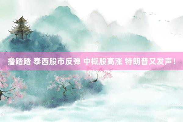 撸踏踏 泰西股市反弹 中概股高涨 特朗普又发声！