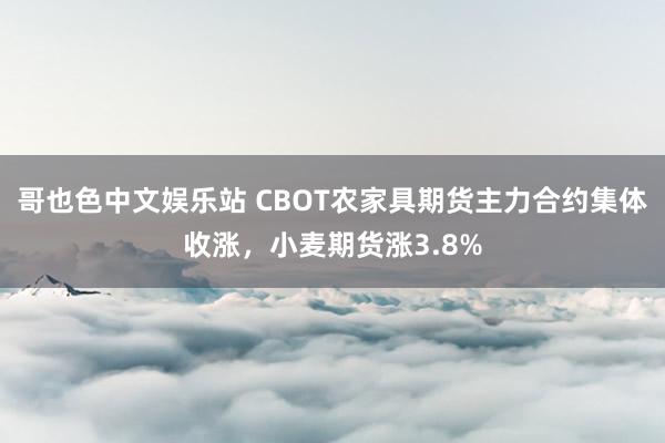 哥也色中文娱乐站 CBOT农家具期货主力合约集体收涨，小麦期货涨3.8%