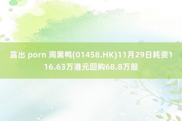 露出 porn 周黑鸭(01458.HK)11月29日耗资116.63万港元回购68.8万股