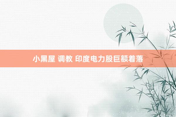 小黑屋 调教 印度电力股巨额着落