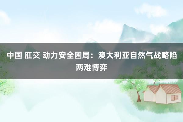 中国 肛交 动力安全困局：澳大利亚自然气战略陷两难博弈